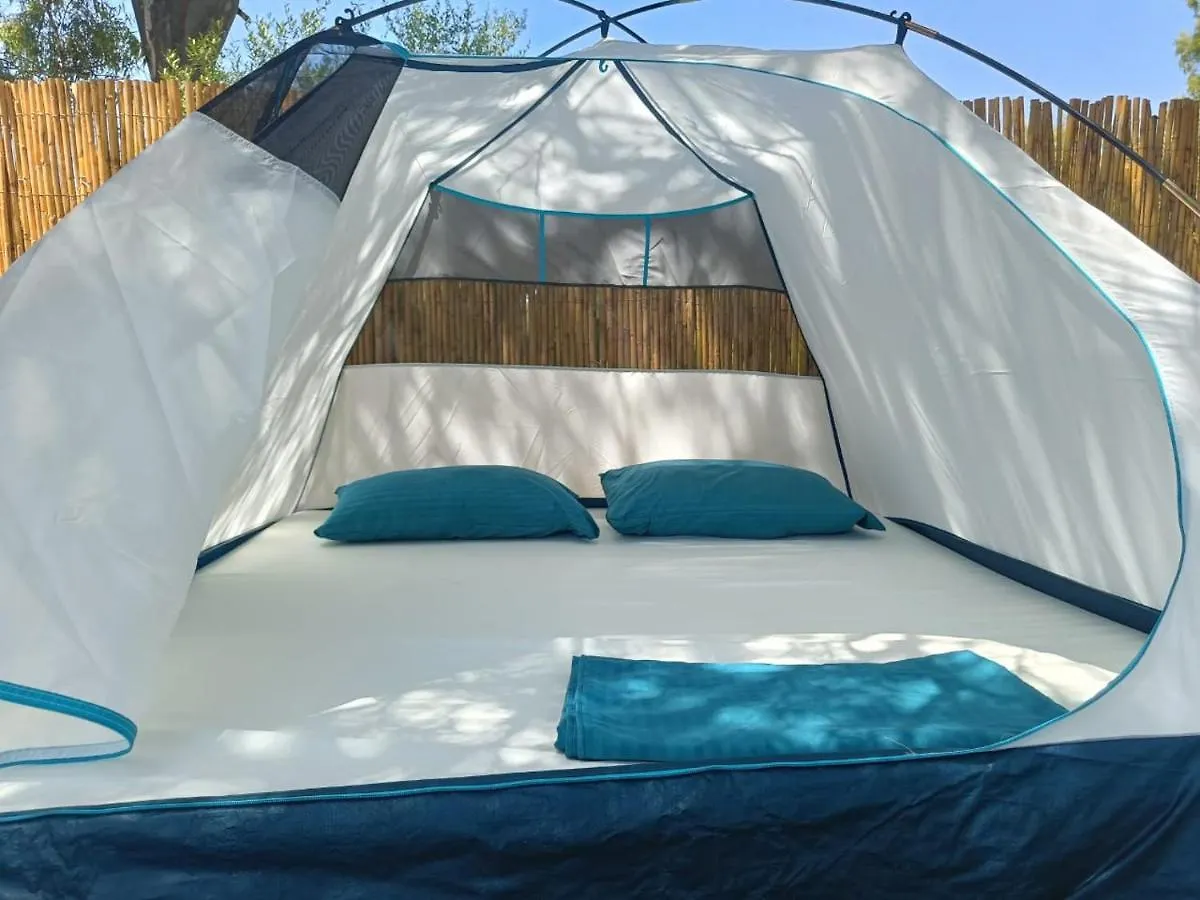 Κάμπινγκ Borsh Olive Camping Ξενοδοχείο