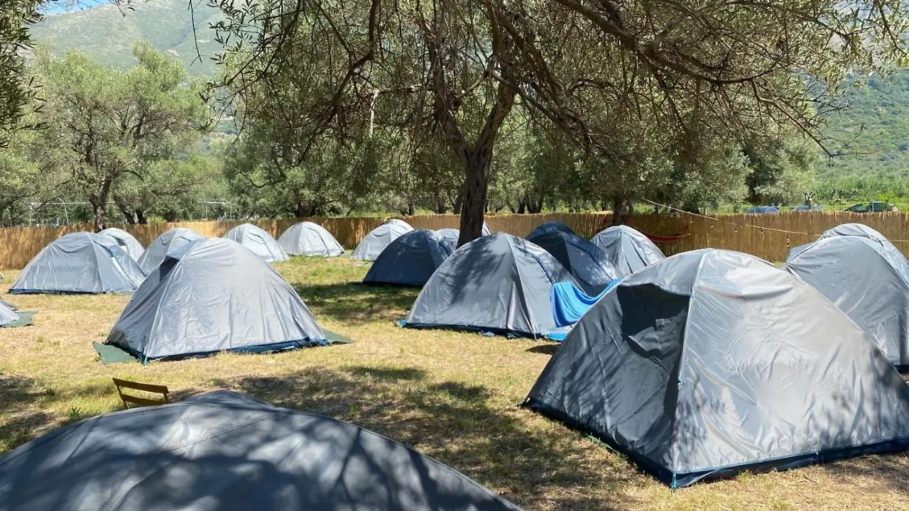 Borsh Olive Camping Ξενοδοχείο 0*,  Αλβανία