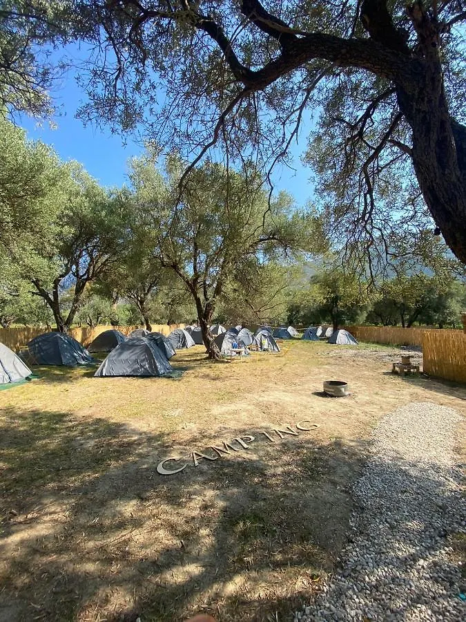 Borsh Olive Camping Ξενοδοχείο 0*,  Αλβανία
