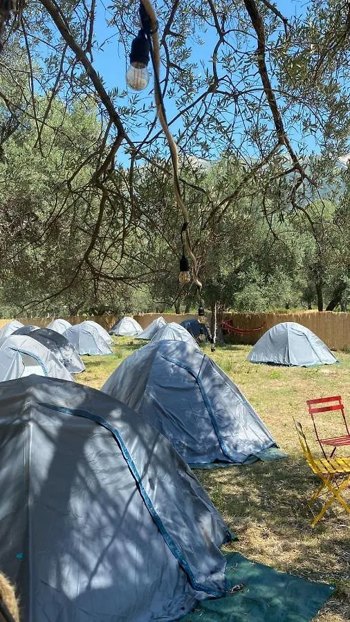 Κάμπινγκ Borsh Olive Camping Ξενοδοχείο